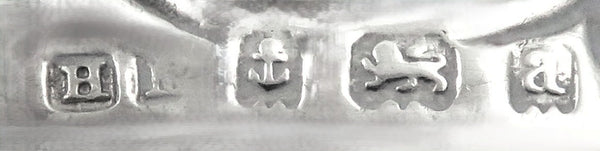 Antique Late Victorian Sterling Silver Card Case/Aide Memoir 'The Music Lesson' 1900