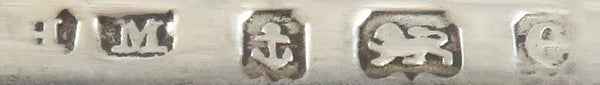 Antique Edwardian Sterling Silver Card Case - 1904 - The Music Lesson