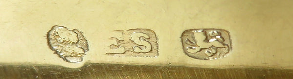 Antique William IV Sterling Silver Snuff Box 1831