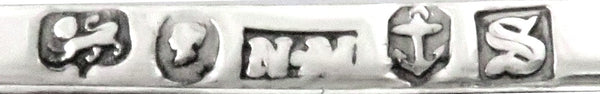 Antique Victorian Sterling Silver 'Newstead Abbey/Abbotsford House' Card Case 1841